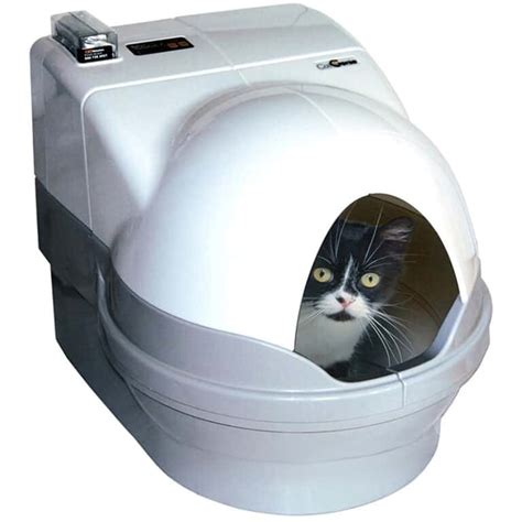 multi cat electric litter box|best multi cat litter box.